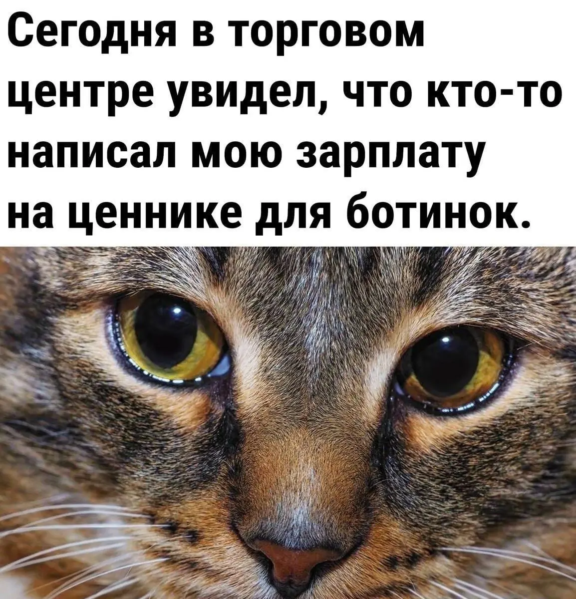 Что тут можно делать? | Сетка — социальная сеть от hh.ru