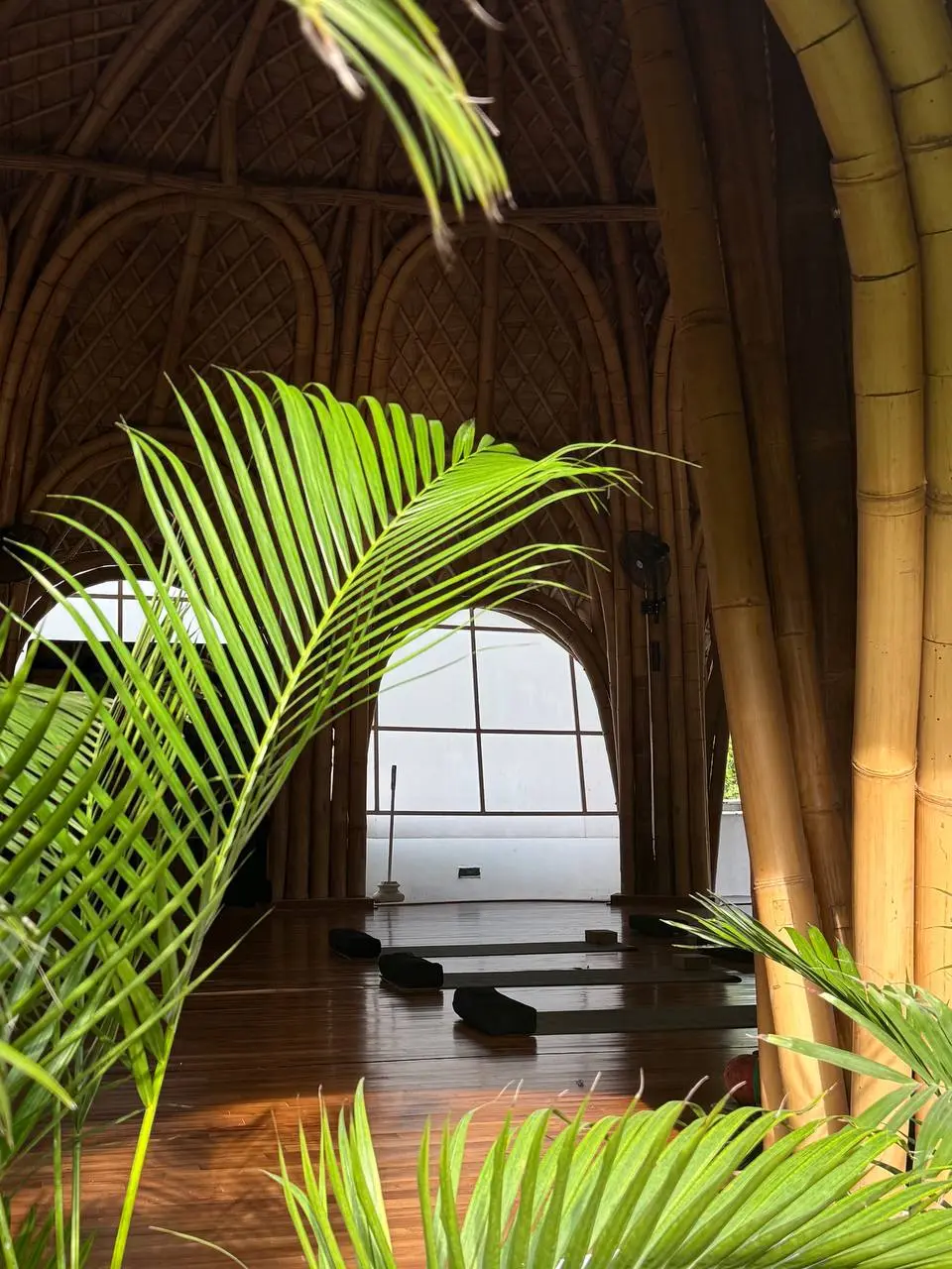 День в фотокарточках🥹💔
https://music.yandex.ru/album/5872068/track/43945862?refid=7100DA3F-E69B-4F74-A555-F333C85F2A6B&utmmedium=copylink | Сетка — социальная сеть от hh.ru