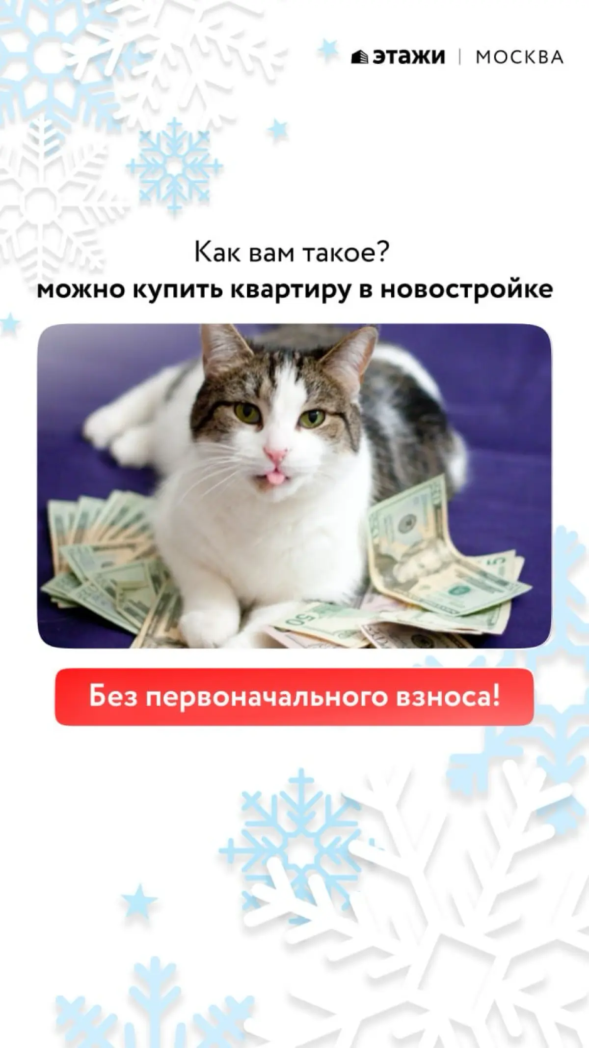 Ипотека в новостройке без первоначального взноса? Как? | Сетка — социальная сеть от hh.ru