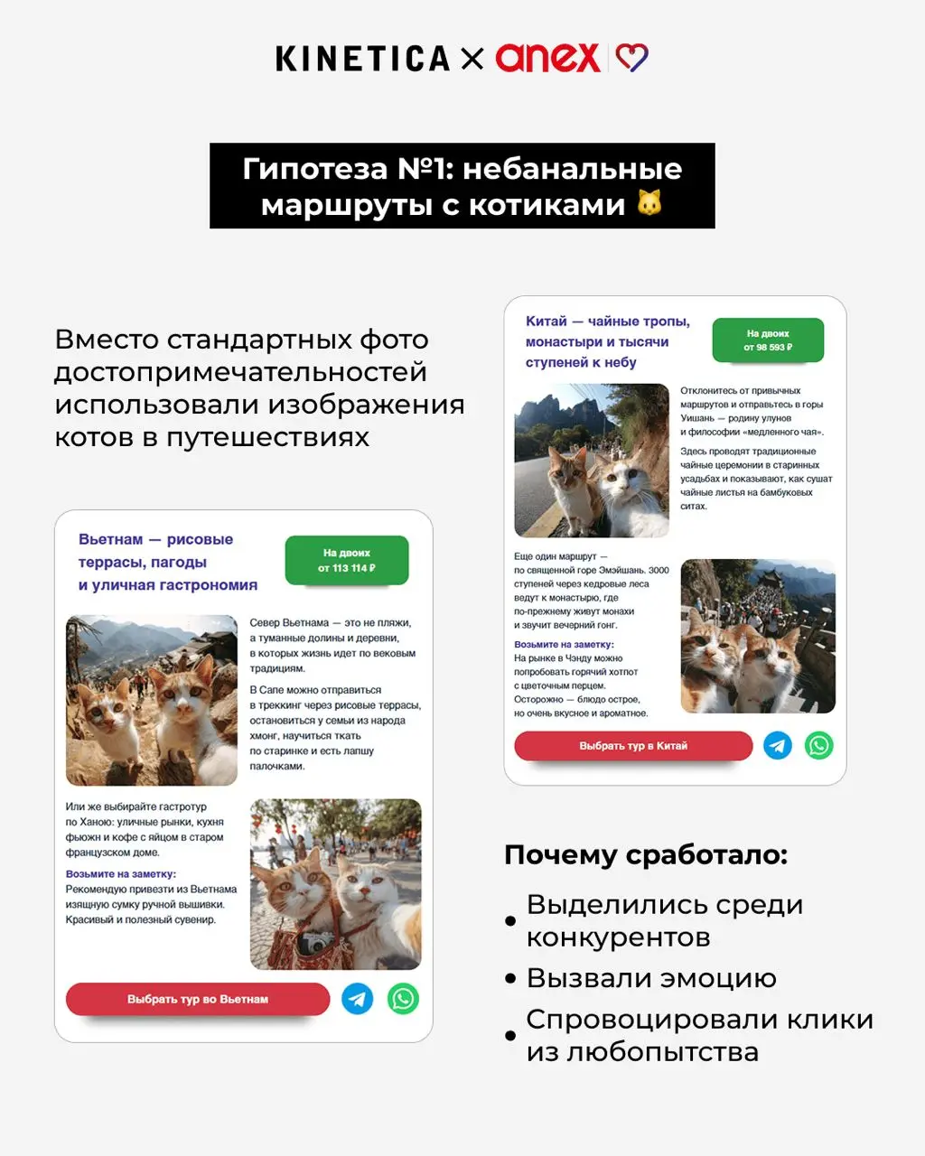 🐱 Отправили котиков аудитории 35+.. | Сетка — социальная сеть от hh.ru