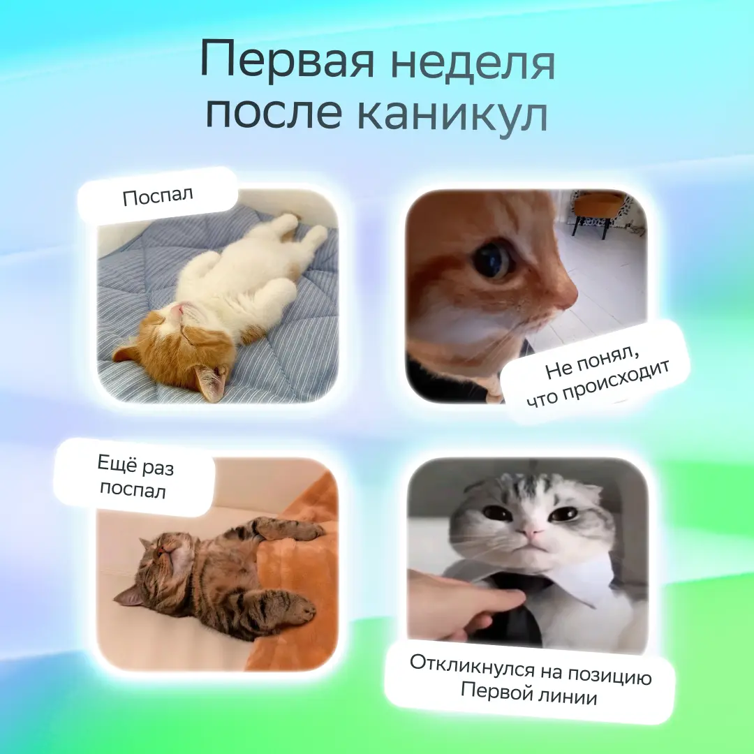 Планирование, KPI, задачи и дедлайны... | Сетка — социальная сеть от hh.ru