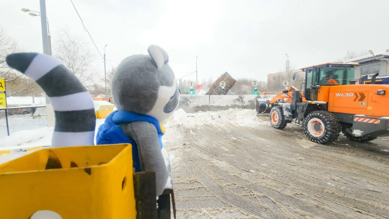 В гости к снегу!
Наш 🦝 друг Енот проверил работу снегосплава 🐾
Когда 🌨выпадает много-много снега, он не исчезает сам собой 😲 | Сетка — социальная сеть от hh.ru