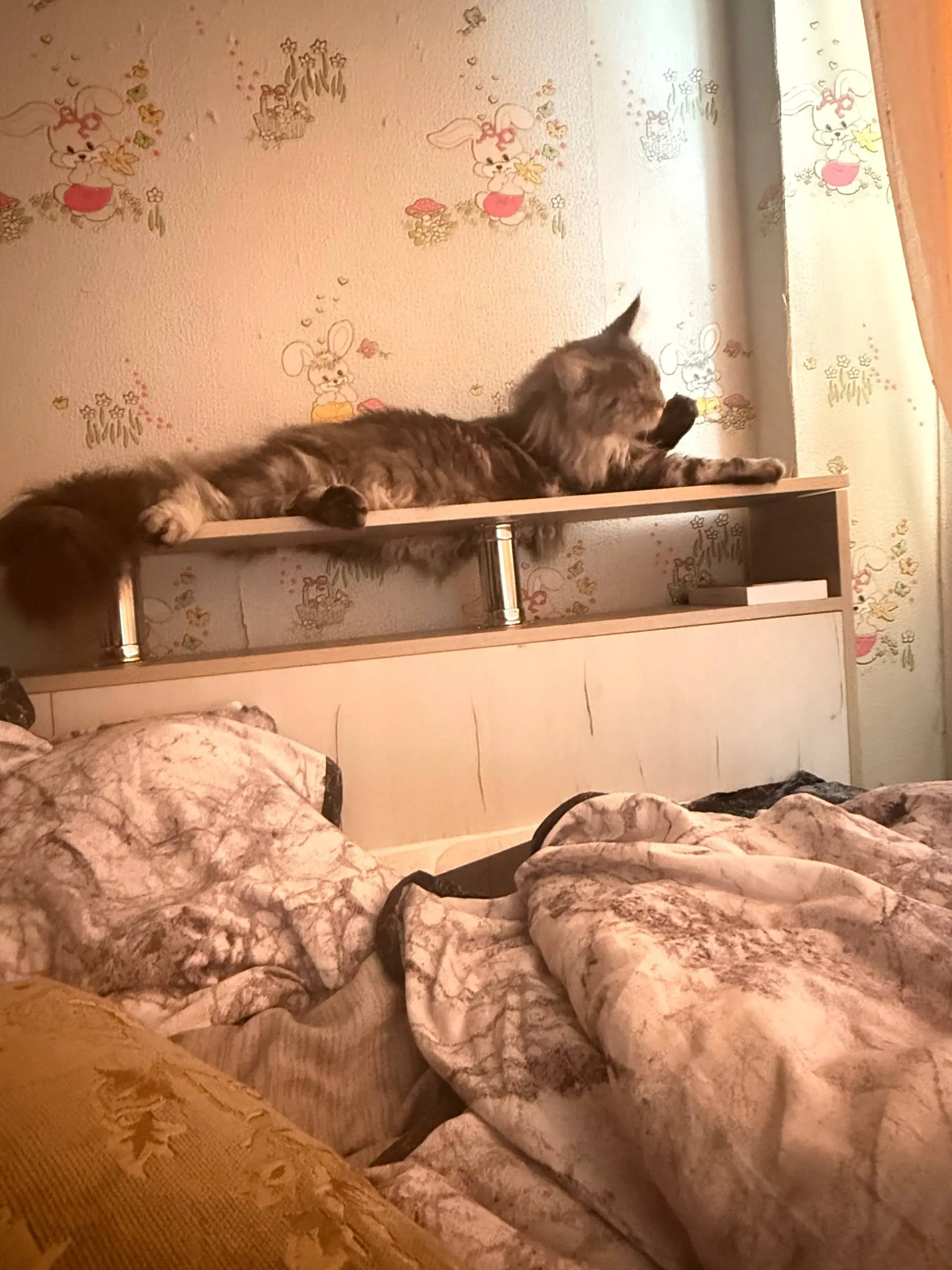 Полюбили кровать 😌 | Сетка — социальная сеть от hh.ru