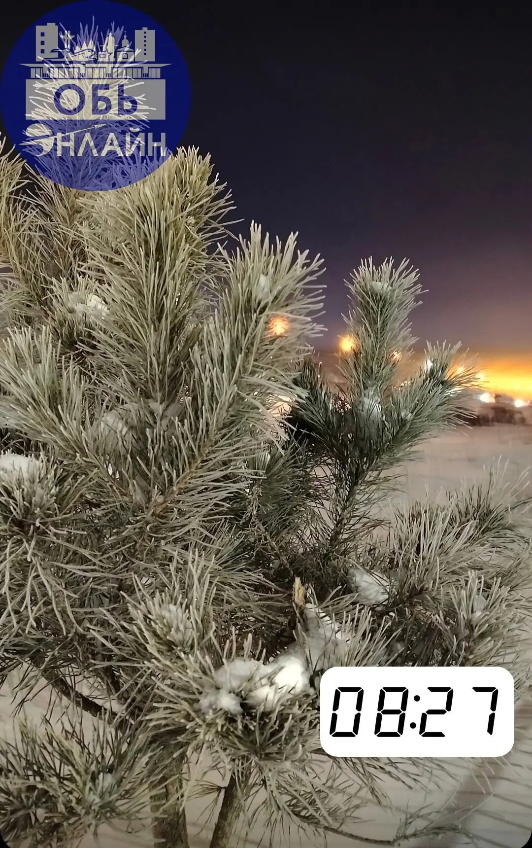 ↗ Прекрасное морозное утро 🌄 на градуснике -36❄️🥶
vk.ru
Подробнее на https://vk.com/ob.gorod
#городобь #городобьонлайн #толмачево | Сетка — социальная сеть от hh.ru