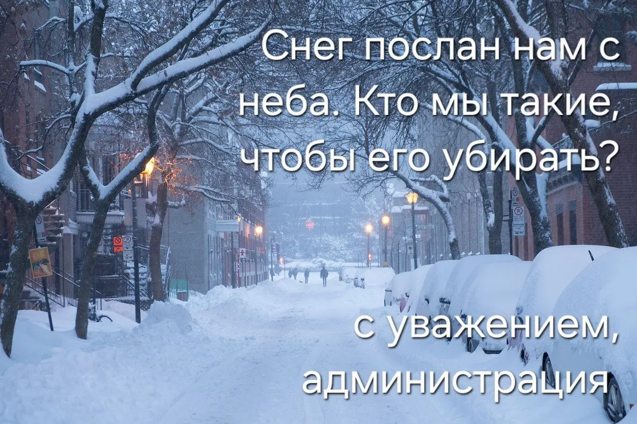 Привет, друзья 👋
А последствия циклона Френсис у вас ещё дают о себе знать? 🤔
У меня каждое утро и вечер - приключение 🌪️🚗
🌅 Утро: выезжаю из двора с одной-единственной надеждой - чтобы навстречу никт... | Сетка — социальная сеть от hh.ru