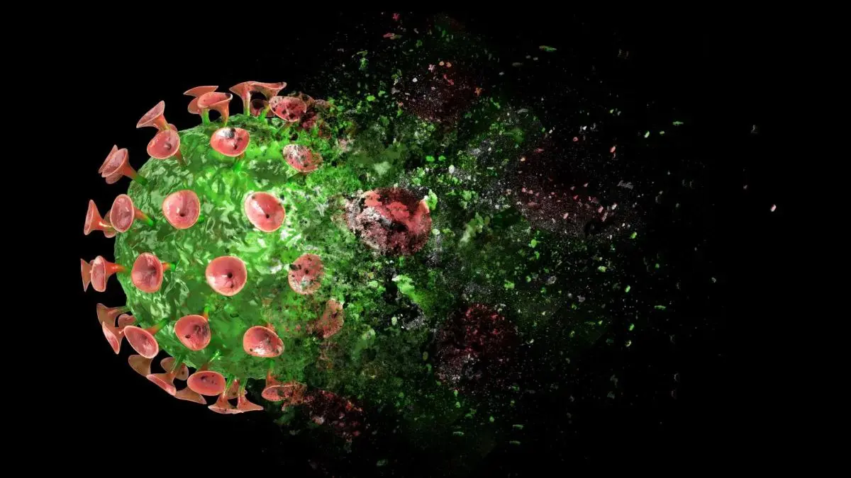 🧬 ИИ нашёл слабое место вируса герпеса
Продолжаем тему ИИ в медицине: Учёные с помощью ИИ обнаружили в белке вируса одну ключевую связь. Если её нарушить, вирус не может заражать клетки | Сетка — социальная сеть от hh.ru