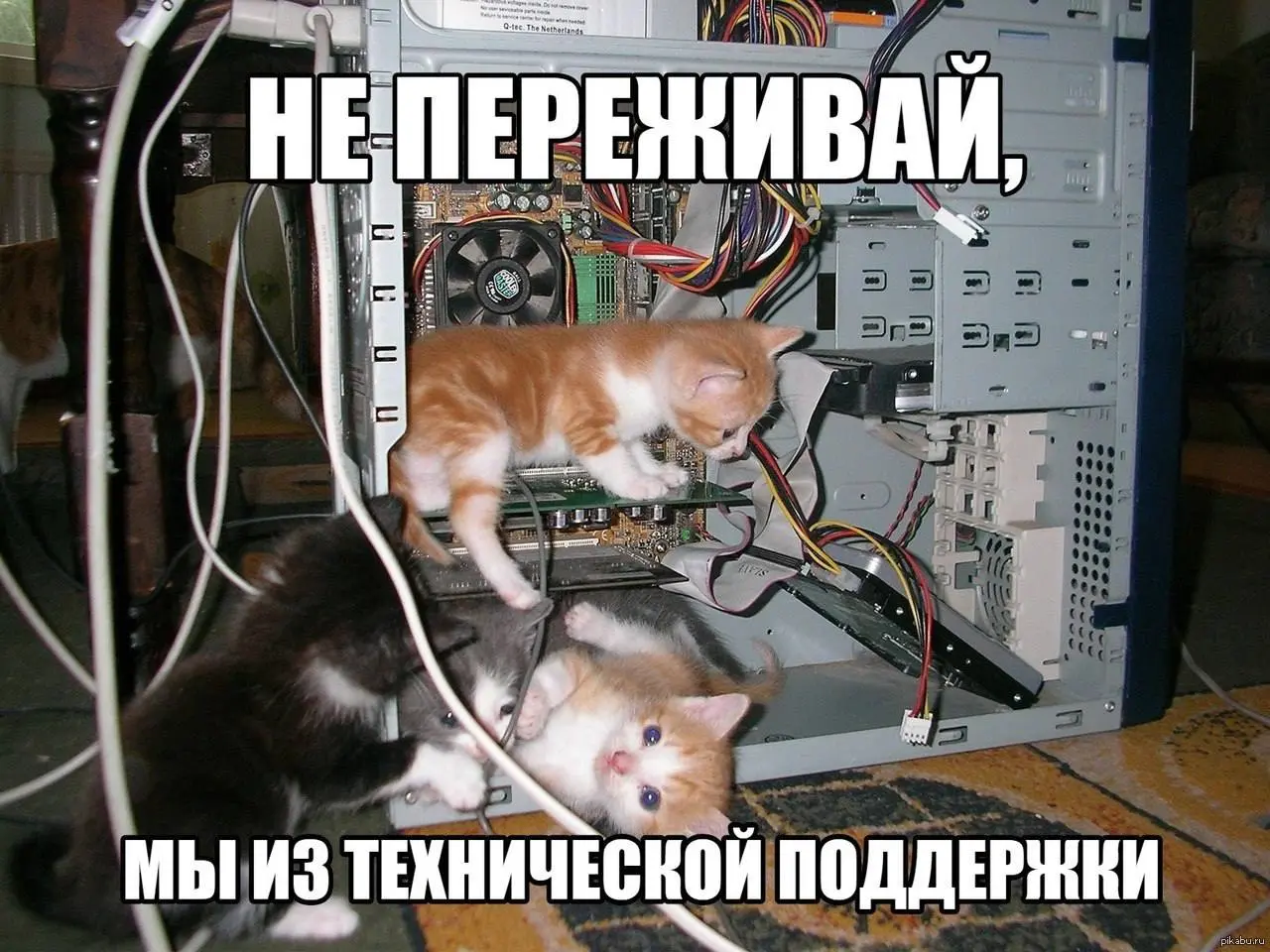 Как e-commerce бренды выстраивают клиентскую поддержку
Клиенты редко дают второй шанс сервису | Сетка — социальная сеть от hh.ru