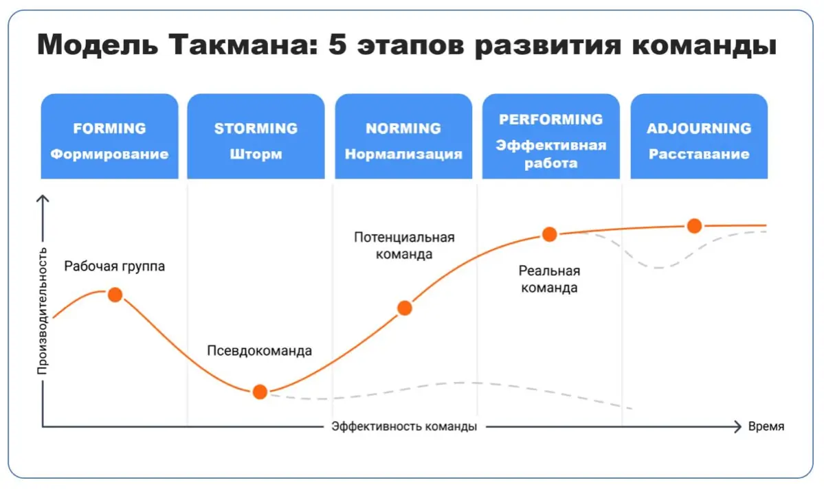 Секреты командной динамики: этапы модели Такман | Сетка — социальная сеть от hh.ru