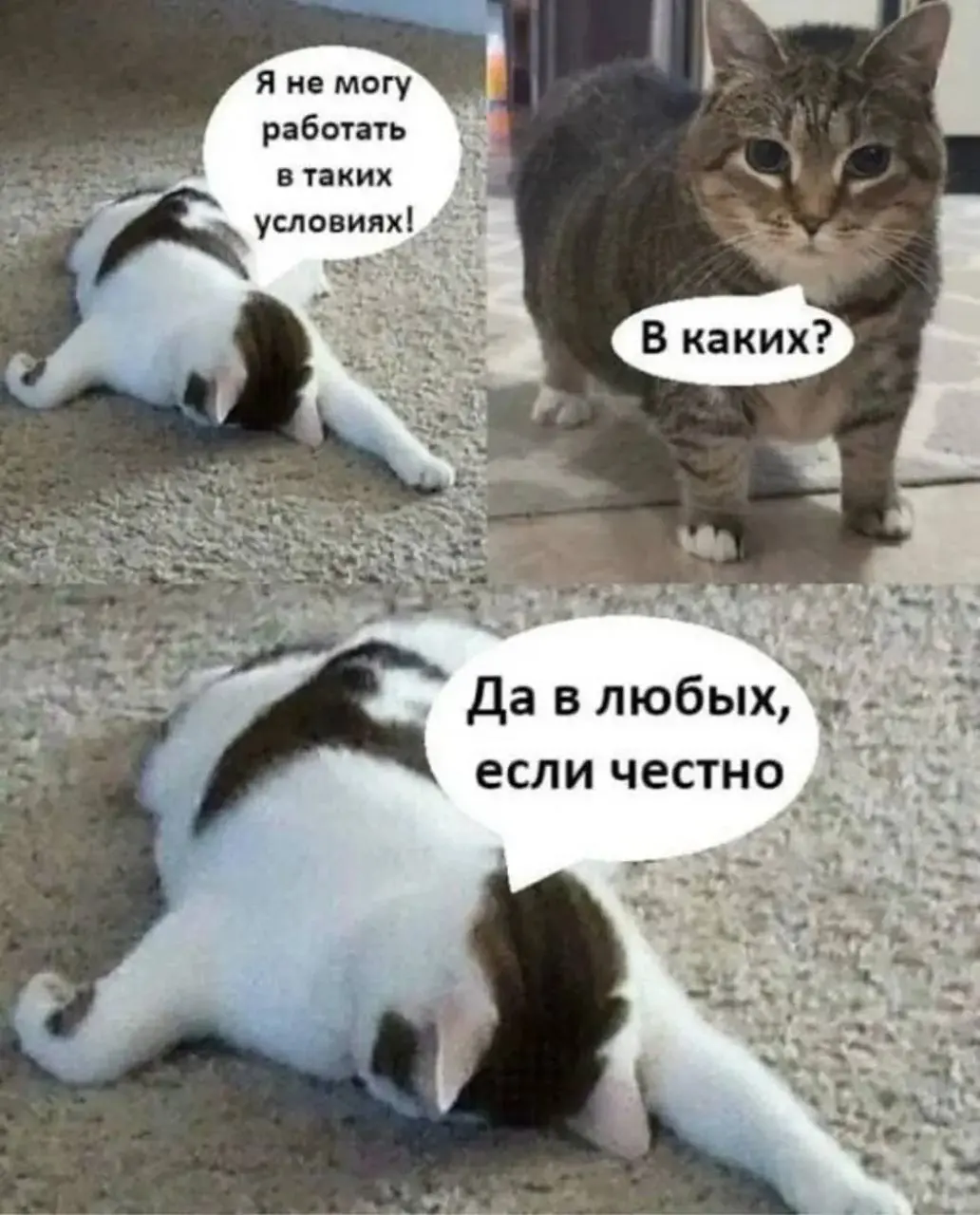 Россияне планируют массово увольняться после новогодних праздников | Сетка — социальная сеть от hh.ru