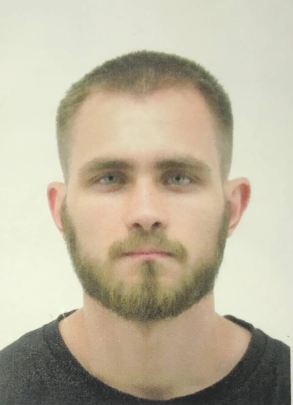 Тимофей Горлышкин | Сетка — социальная сеть от hh.ru