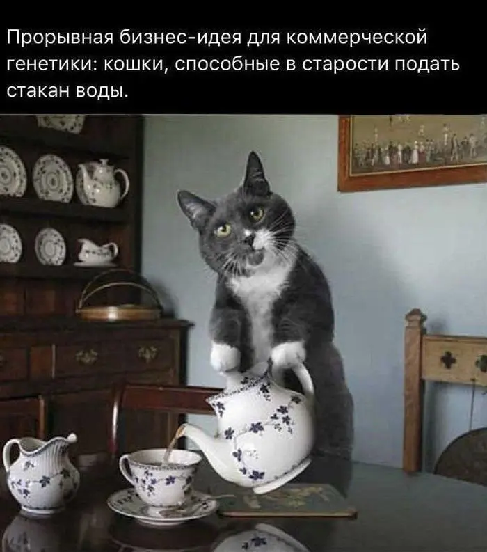 Где искать идеи для бизнеса на миллиарды?
На каком рынке запускать следующий стартап?
Где и какой продукт запускать следующим?
Александр Бакеев даёт несколько сценариев для поиска ответов:
1. Рынки | Сетка — социальная сеть от hh.ru