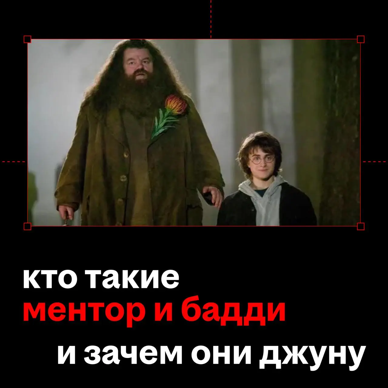 каждый джун в какой-то момент встречает своего Хагрида.. | Сетка — социальная сеть от hh.ru