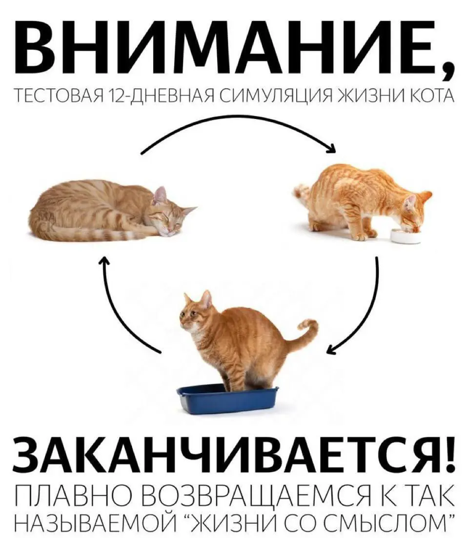 Ну что едем в Кириши ... | Сетка — социальная сеть от hh.ru
