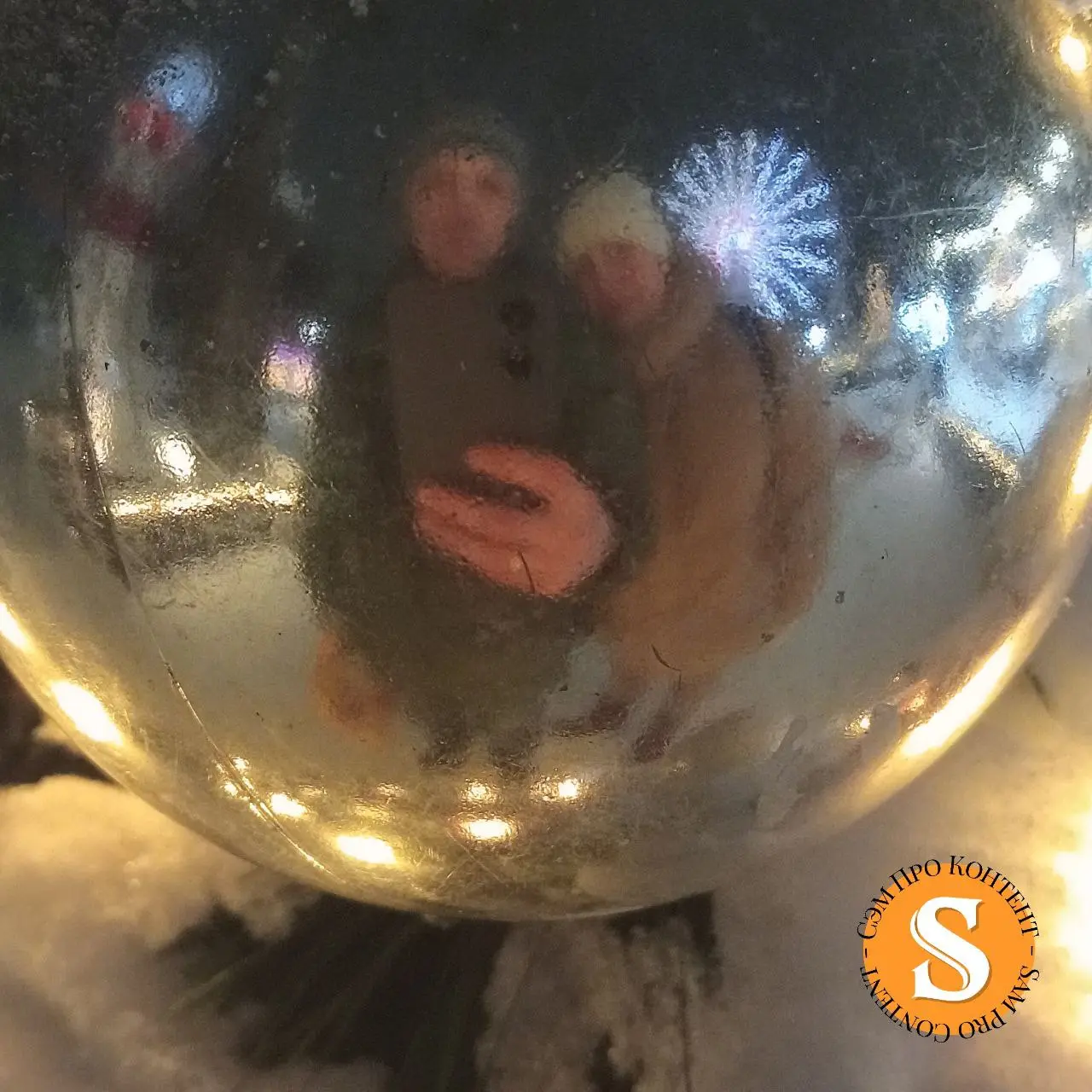 🗓 Завершается первая рабочая неделя 2026 года. 🎄 Втянулся без раскачки.
Контент для соцсетей, карточки для маркетплейсов, подкаст, рислы... Продуктивно 💪 | Сетка — социальная сеть от hh.ru