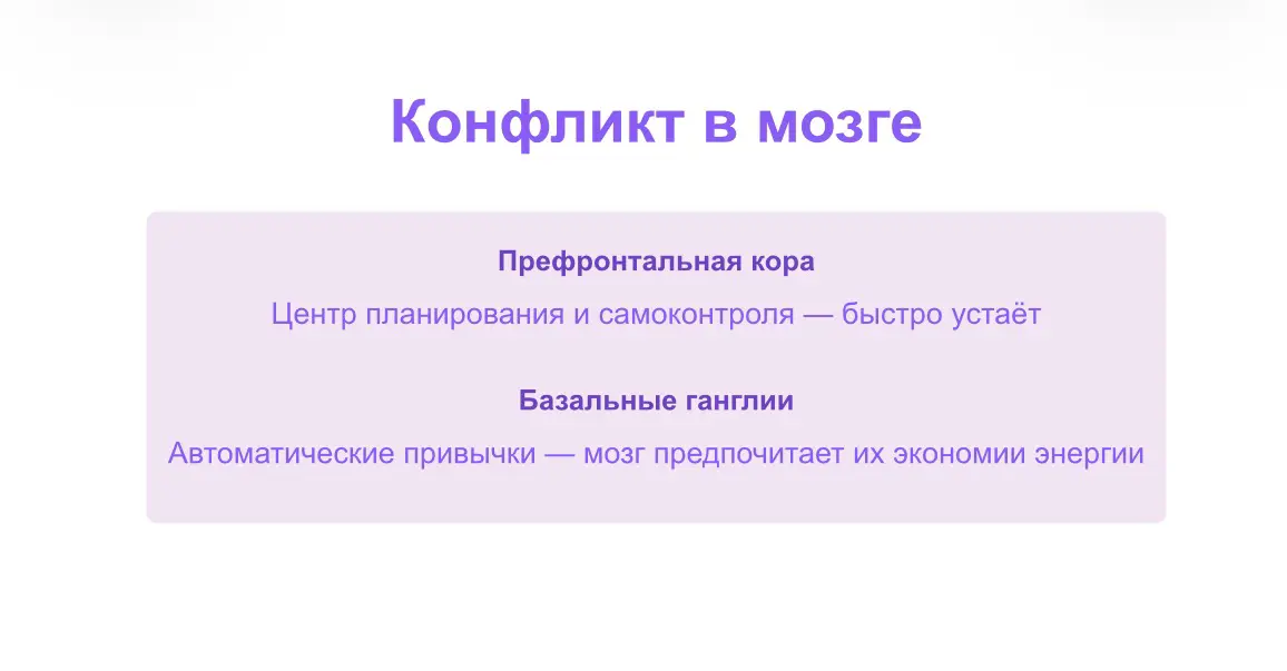 Новогодние обещания самому себе: как их выполнять | Сетка — социальная сеть от hh.ru