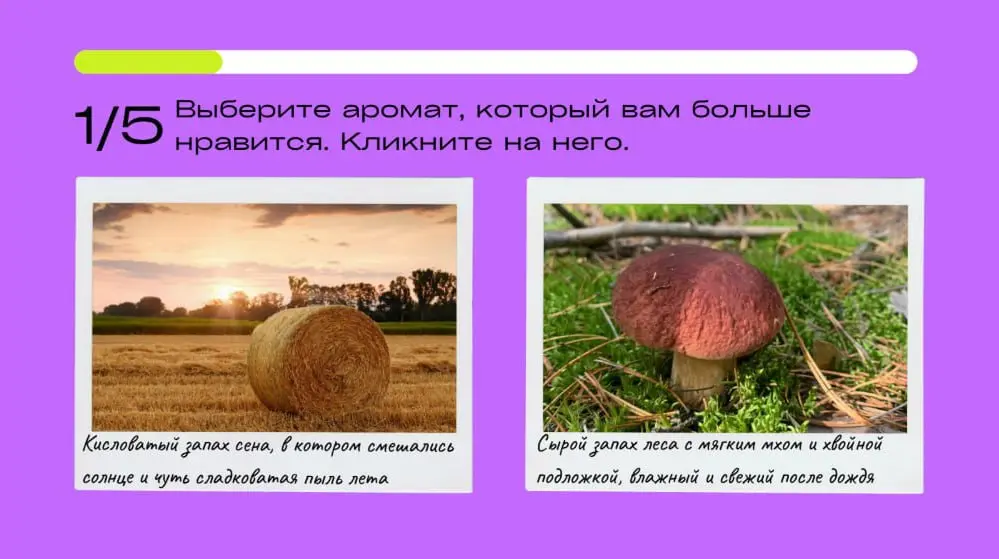 Конкурс спецпроектов | Сетка — социальная сеть от hh.ru