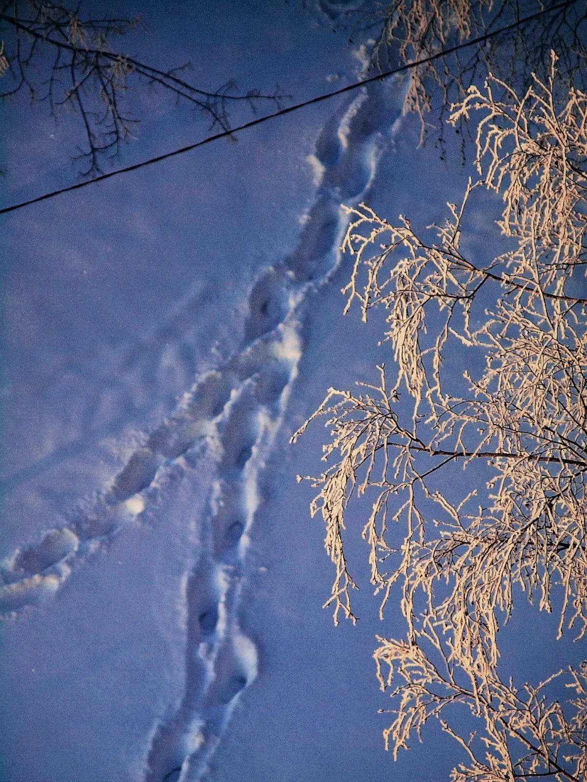 Морозное утро. 🌬❄ | Сетка — социальная сеть от hh.ru