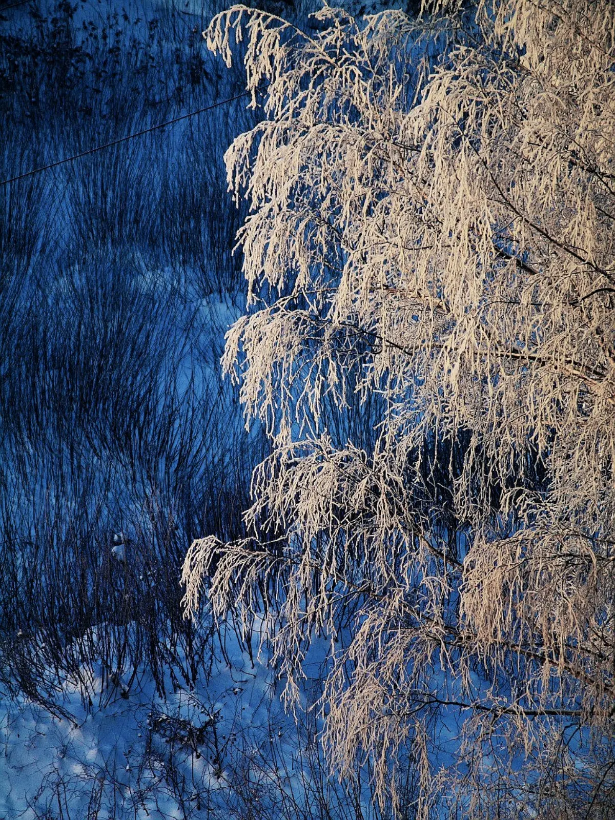Морозное утро. 🌬❄ | Сетка — социальная сеть от hh.ru