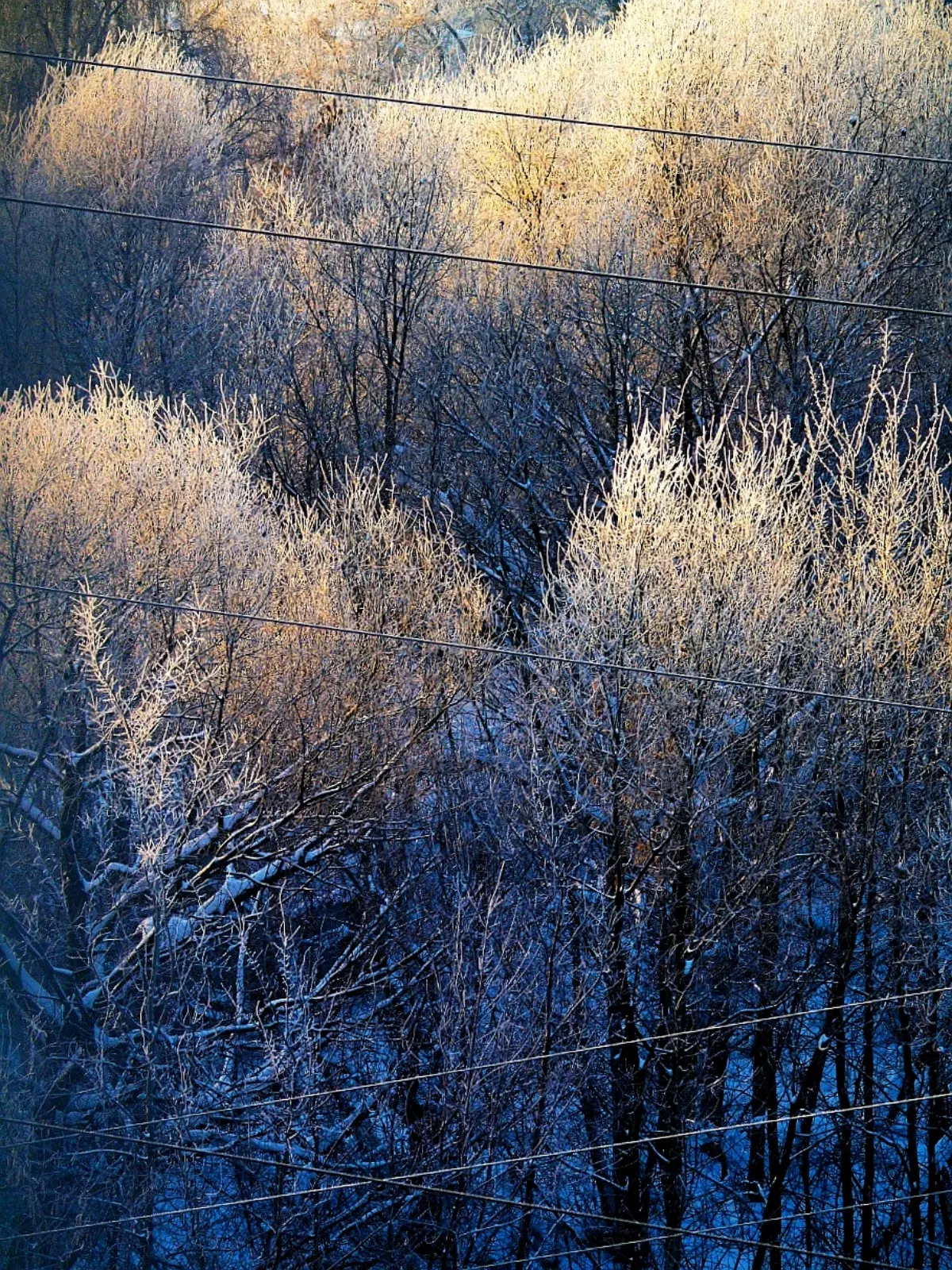 Морозное утро. 🌬❄ | Сетка — социальная сеть от hh.ru