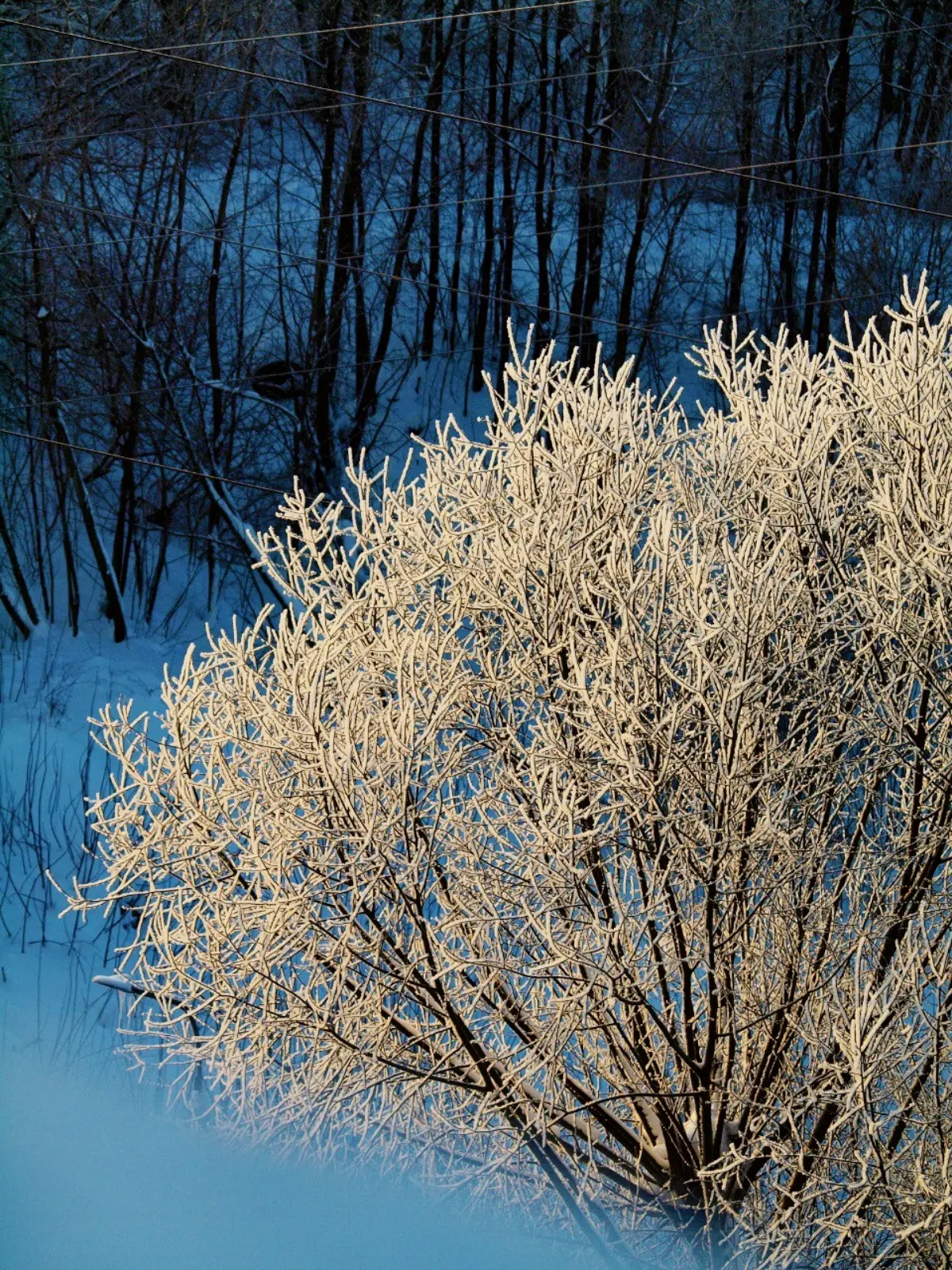 Морозное утро. 🌬❄ | Сетка — социальная сеть от hh.ru