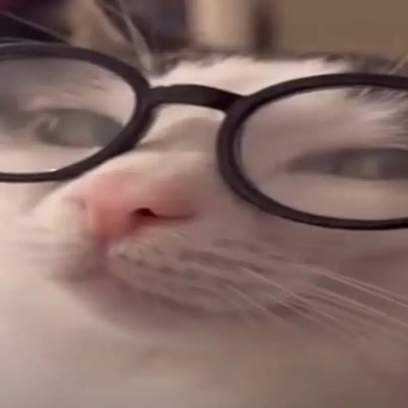 Денис Шмураткин
