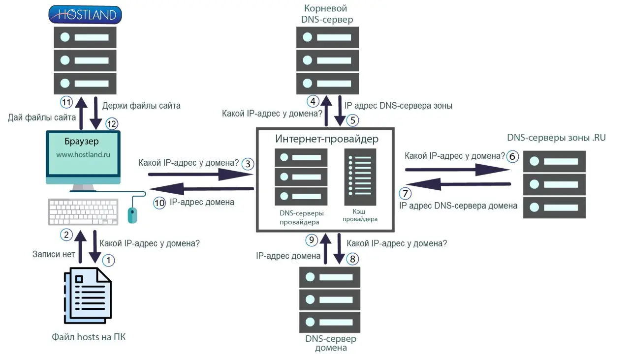 Коротко о том как работают DNS сервера.
#dns #www #интернет | Сетка — социальная сеть от hh.ru