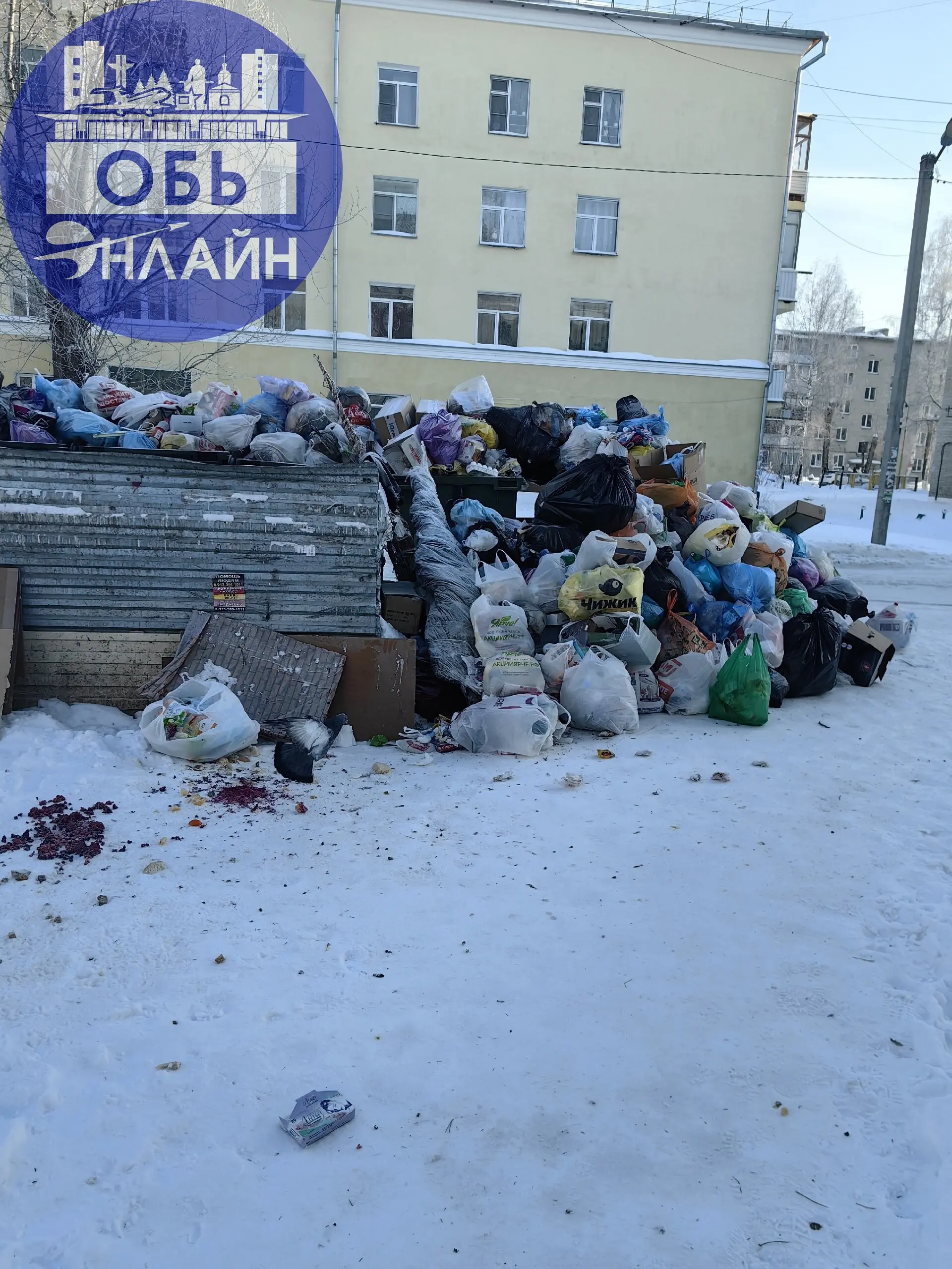 ↗ Местный полигон👍
vk.ru
Подробнее на https://vk.com/ob.gorod
#городобь #городобьонлайн #толмачево | Сетка — социальная сеть от hh.ru