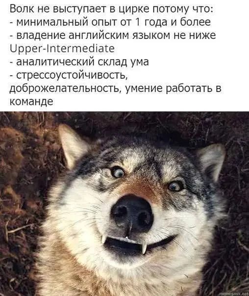 Тренды рынка труда: что нас ждет в 2026?
Вчера была на конференции и хочу поделиться с вами основными тезисами.
Мы находимся в кризисе. Причем не только в классическом его понимании | Сетка — социальная сеть от hh.ru