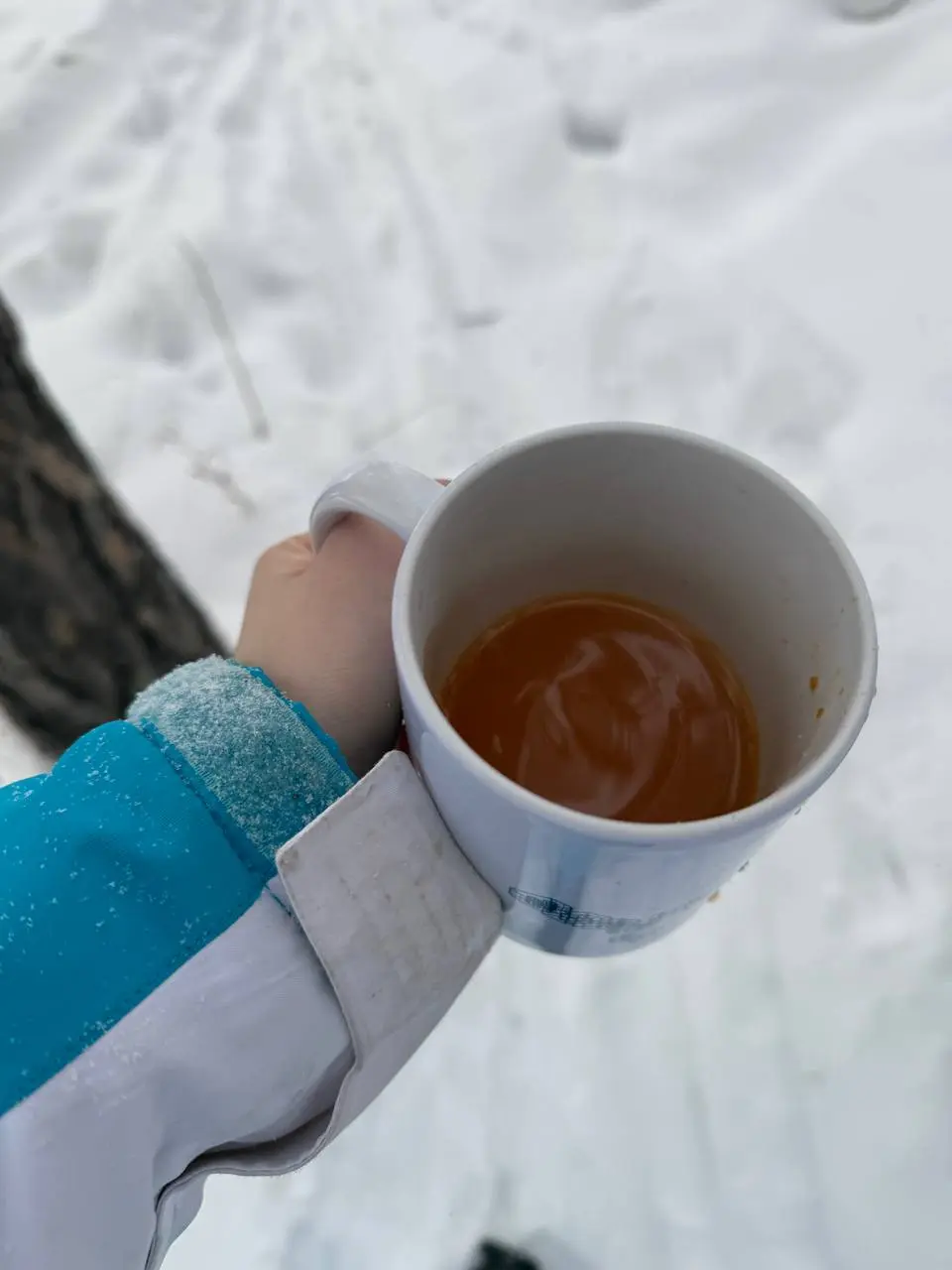 Сегодня было много воздуха и прогулок ✨✨✨
Лыжная база встретила квестом: всё открыто, но лыжи под замком и записка «позвоните» | Сетка — социальная сеть от hh.ru