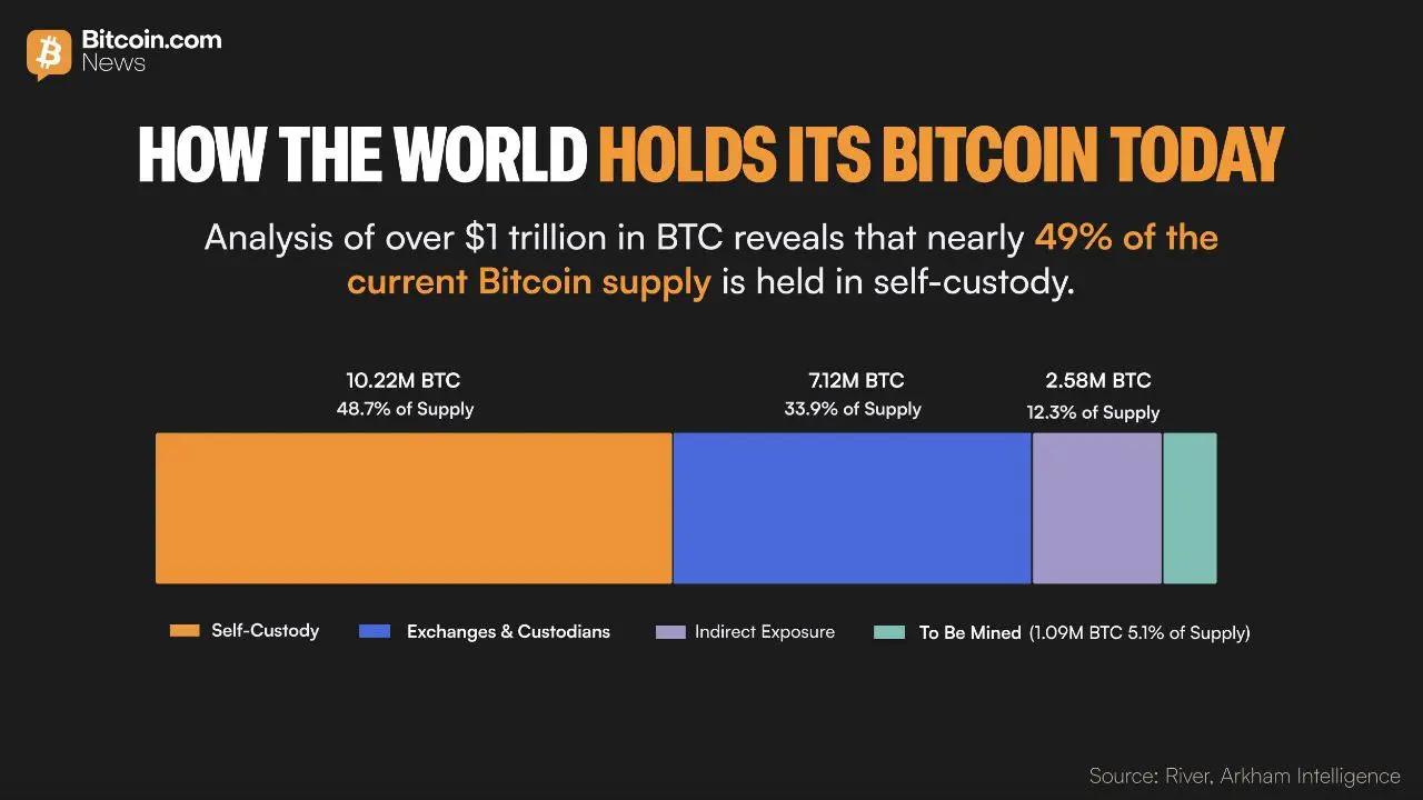 💵 Биткоин остается народными деньгами: почти половина всех BTC (10,22 млн или 48,7%) находится в самостоятельном хранении | Сетка — социальная сеть от hh.ru