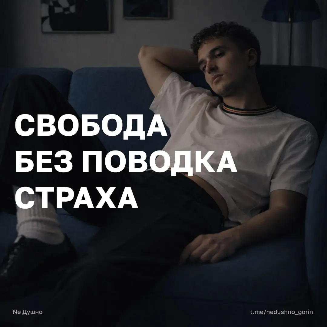 Свобода без поводка страха
Я очень долго не мог подобраться к корню этой серии постов. А если честно, и к корню многих своих неудач вообще | Сетка — социальная сеть от hh.ru