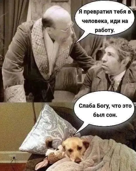 Желаю всем бодрого дня!
Погода за окном бодрит и сигнализирует нам о скором завершении спящего ритма жизни! Желаю всем сегодня нового насыщенного дня, улыбчивого и доброго! | Сетка — социальная сеть от hh.ru
