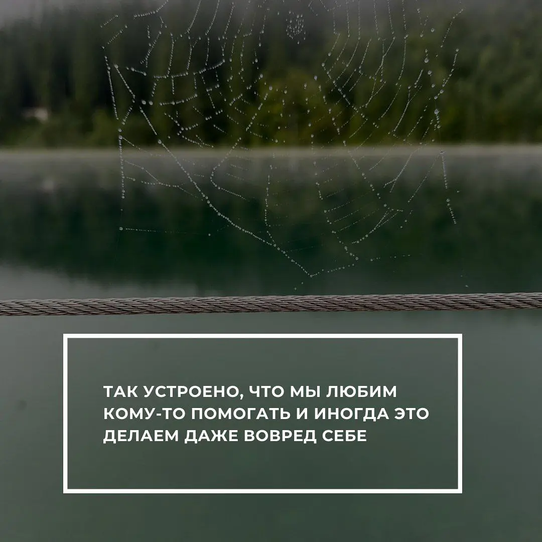 Вам кажется что вы не обеднеете от этого поступка, «да не оскудеет рука дающего» | Сетка — социальная сеть от hh.ru