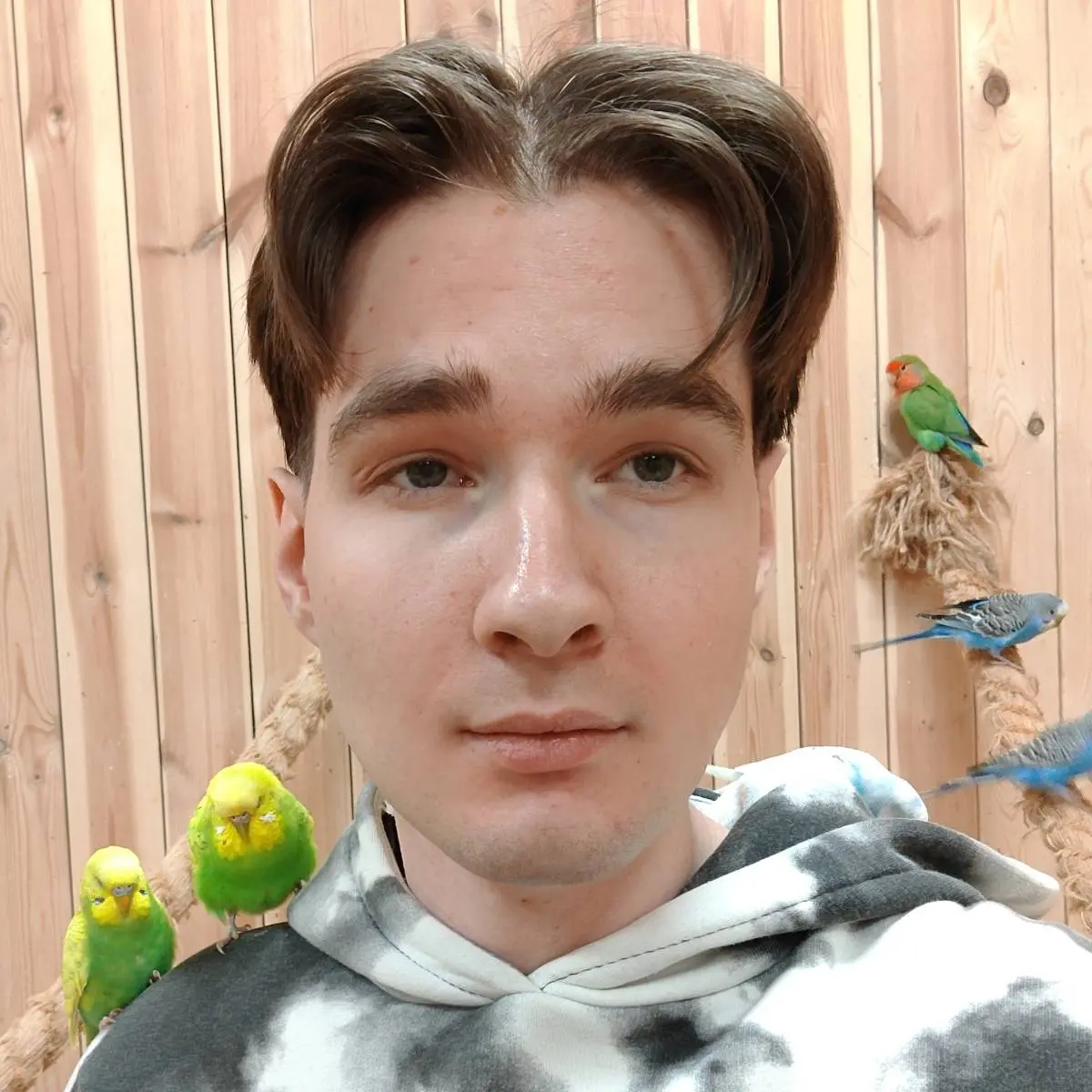 Network member avatar