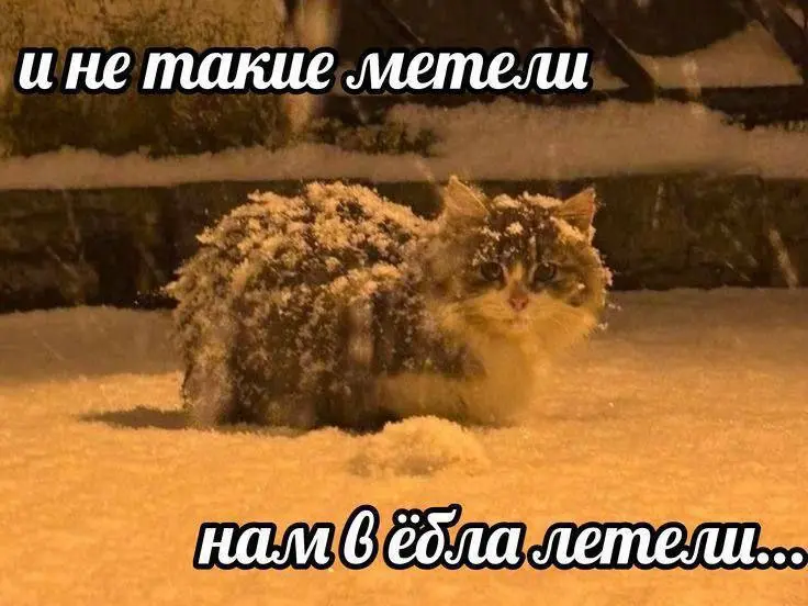 Прорвемся✊️ | Сетка — социальная сеть от hh.ru