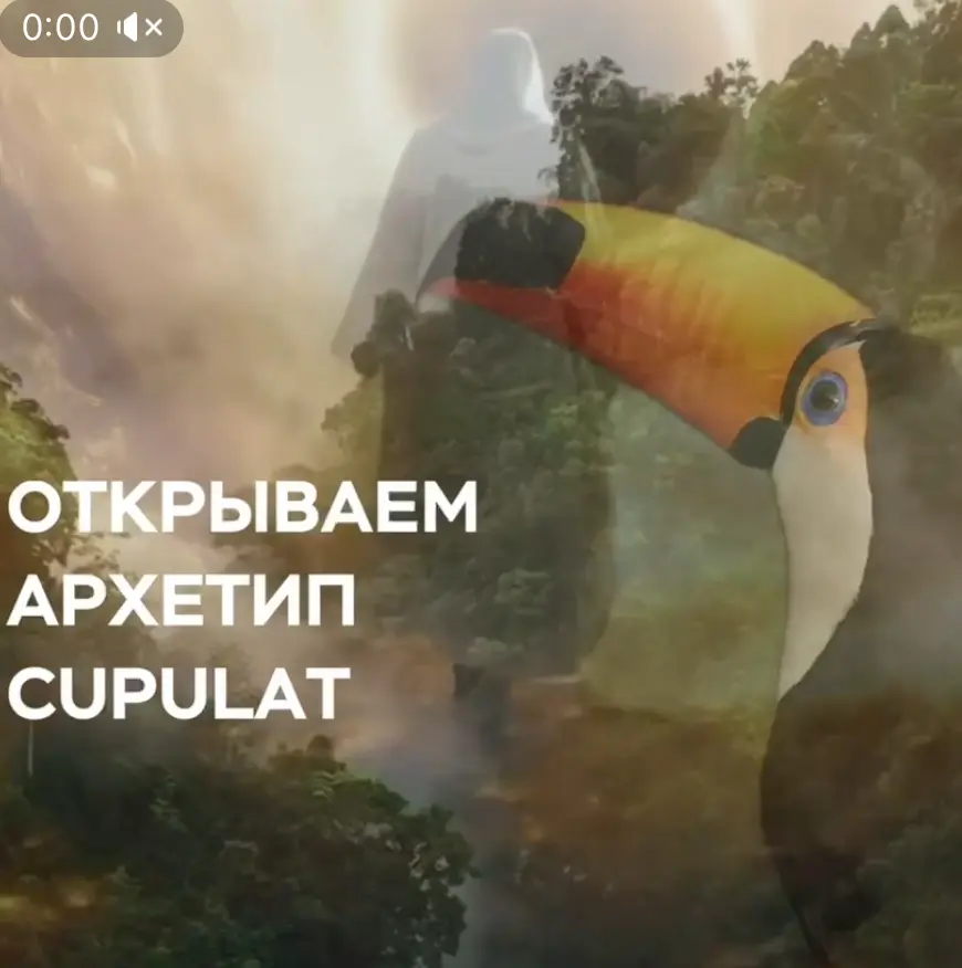 СUPULAT - кто мы на самом деле. | Сетка — социальная сеть от hh.ru