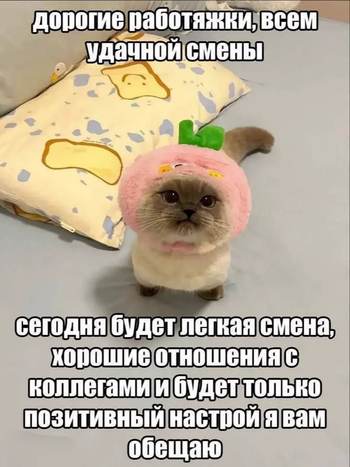 После праздников кажется, что везде пожар. Это системно | Сетка — социальная сеть от hh.ru