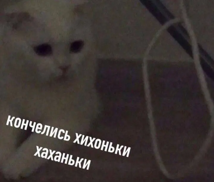 Какое резюме реально читают рекрутеры
Правда, которую редко говорят:
резюме читают 20–40 секунд | Сетка — социальная сеть от hh.ru