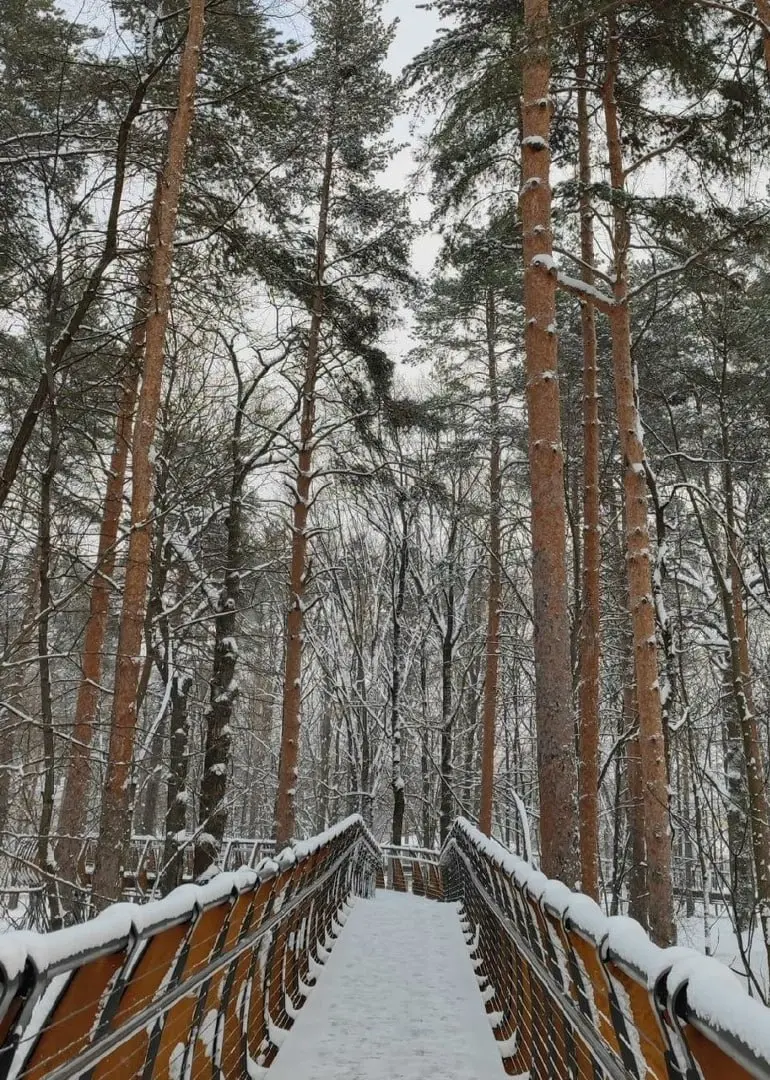 ❄️Экопрогулка «Зима в природе»
20 января 13:00-14:00
Вы сможете насладиться живописными пейзажами, узнать о зимующих птицах и обитателях природных территорий столицы | Сетка — социальная сеть от hh.ru