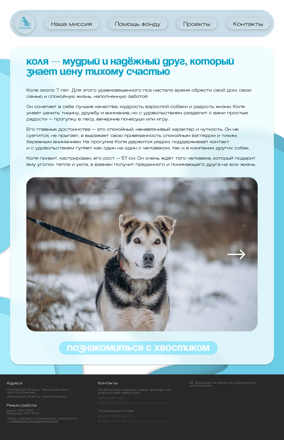 Осторожно спойлеры | Сетка — социальная сеть от hh.ru