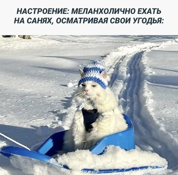 Ничего не пишу в канал, потому что 😂 | Сетка — социальная сеть от hh.ru
