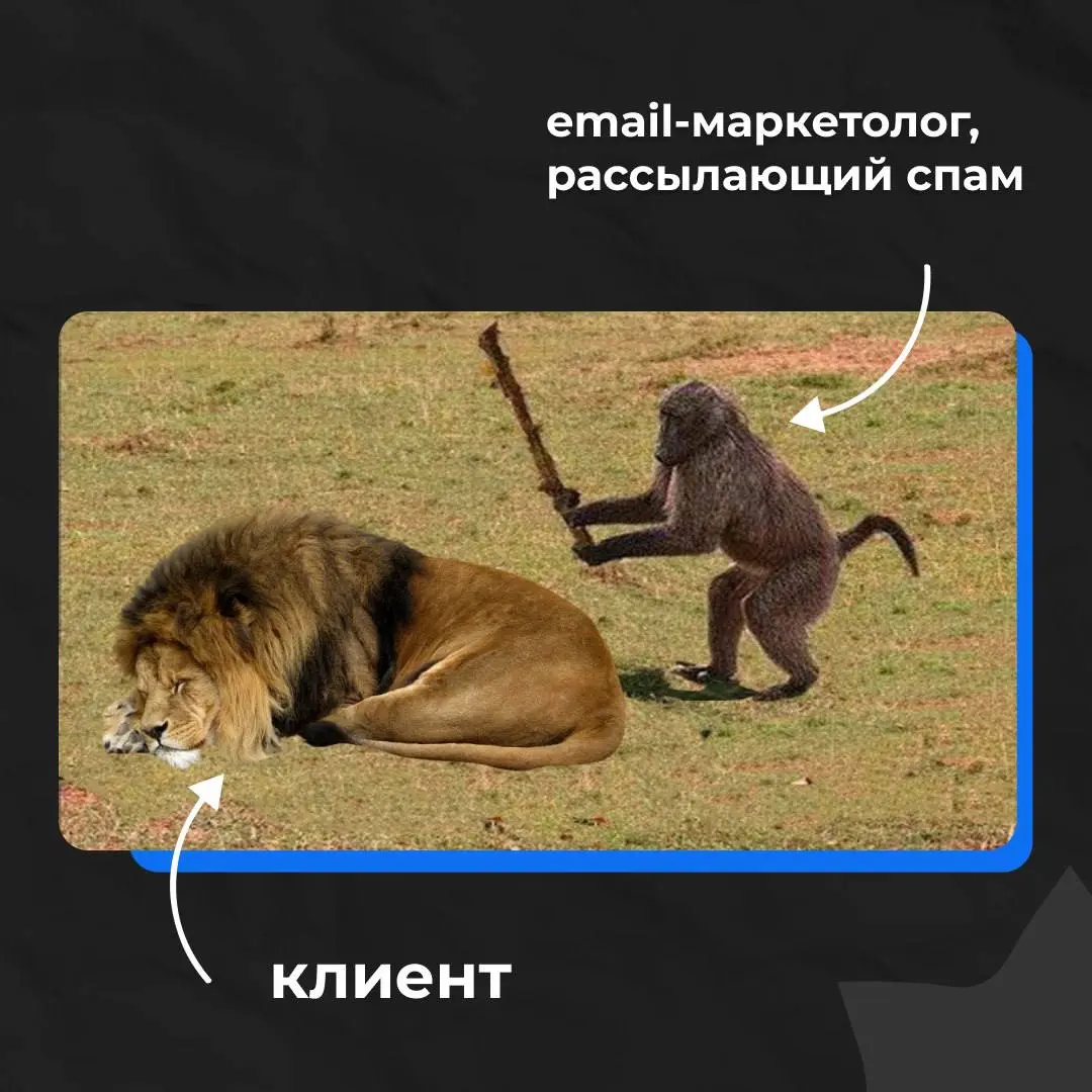 Как продлевать отношения с клиентами через email-рассылки до бесконечности?
«Выстраивать честную, высокоперсонализированную коммуникацию с клиентами», — отчеканит маркетолог.
В 2026 этого недостаточно | Сетка — социальная сеть от hh.ru