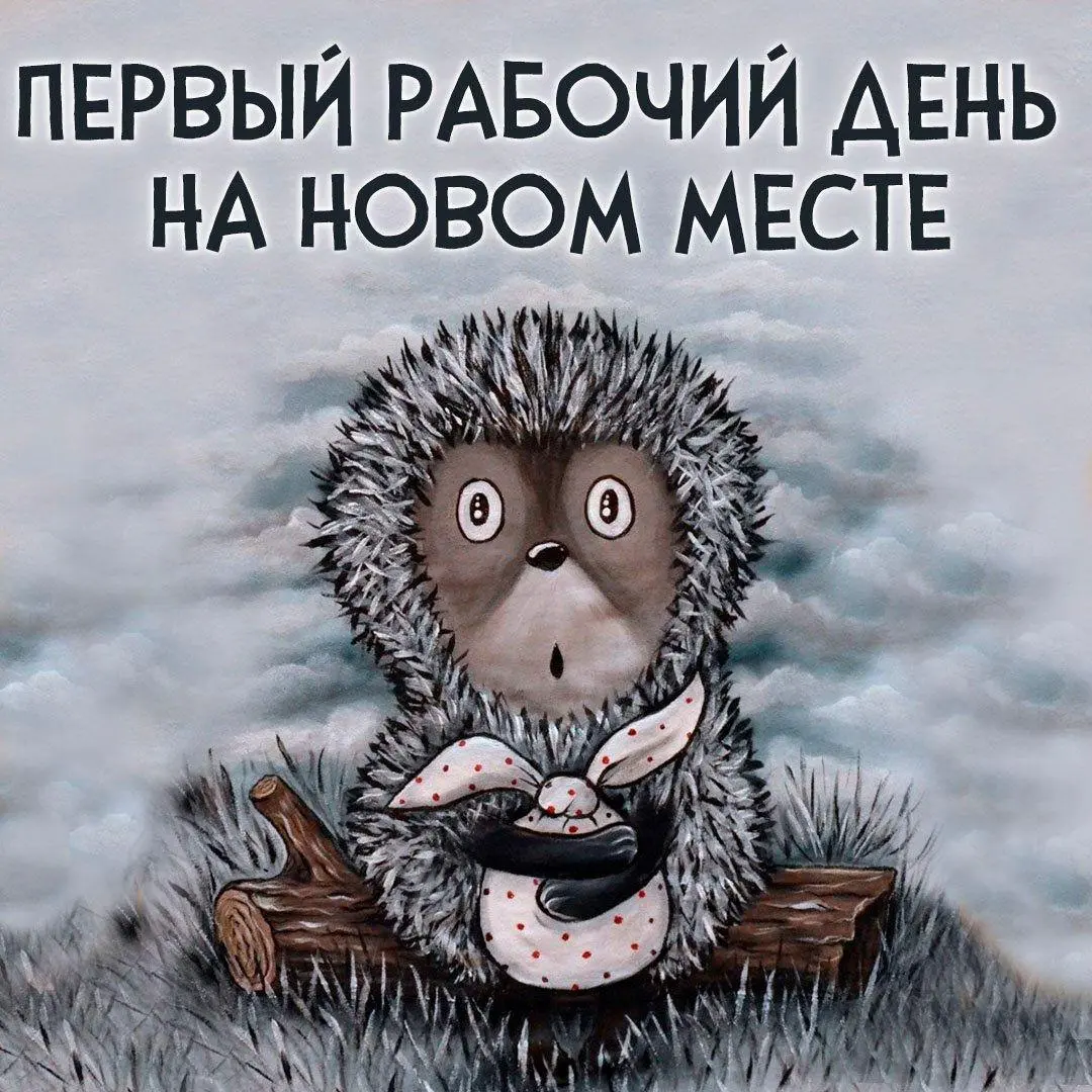 Как выжить на новом месте, когда вам в этом не помогают | Сетка — социальная сеть от hh.ru
