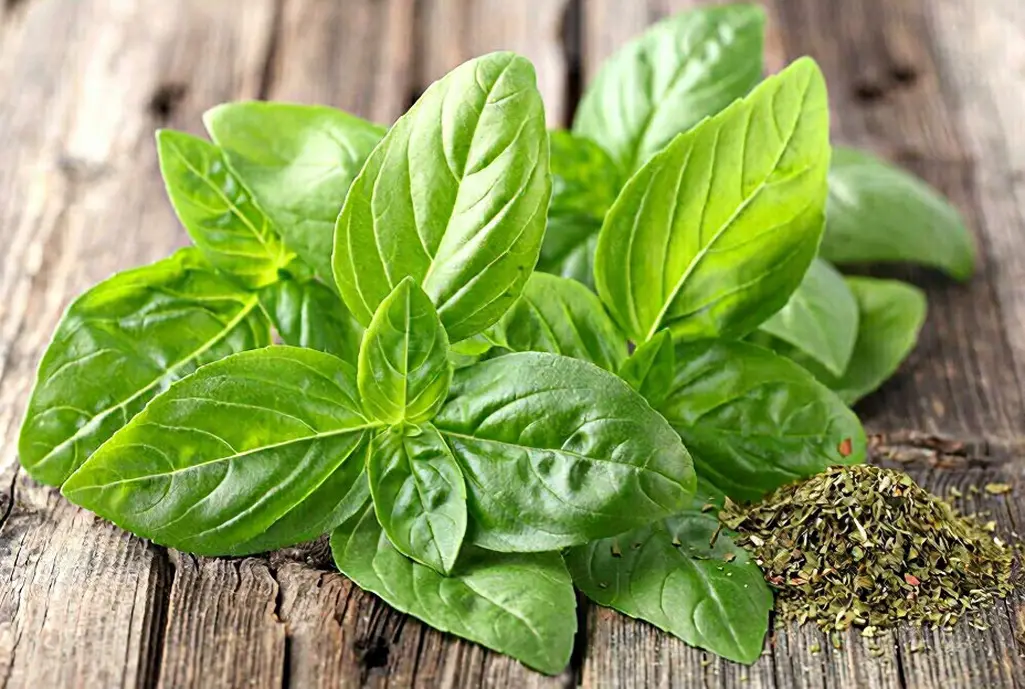🌿🥑🌿🥑🌿🥑🌿🥑🌿🥑🌿🥑🌿 | Сетка — социальная сеть от hh.ru