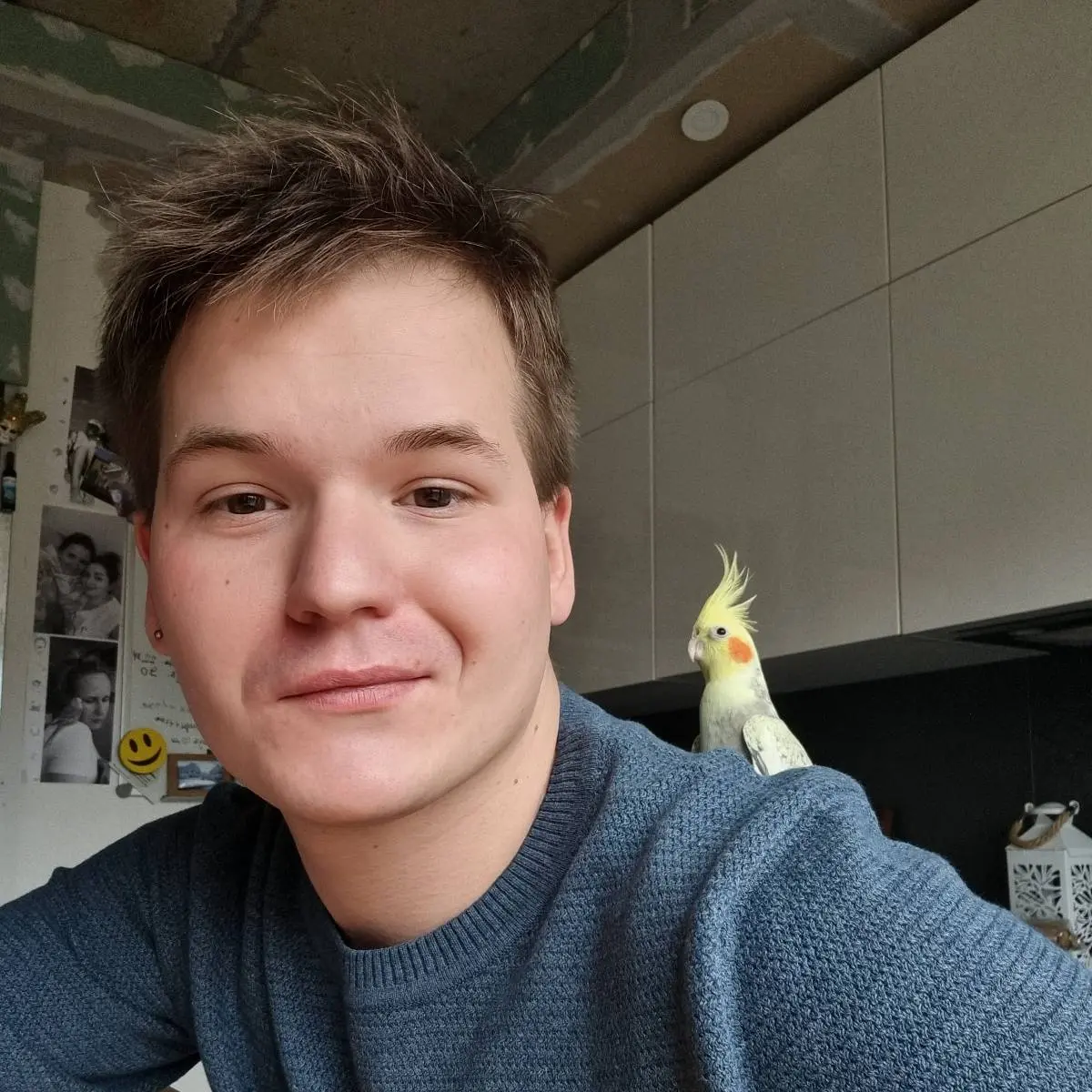 Network member avatar