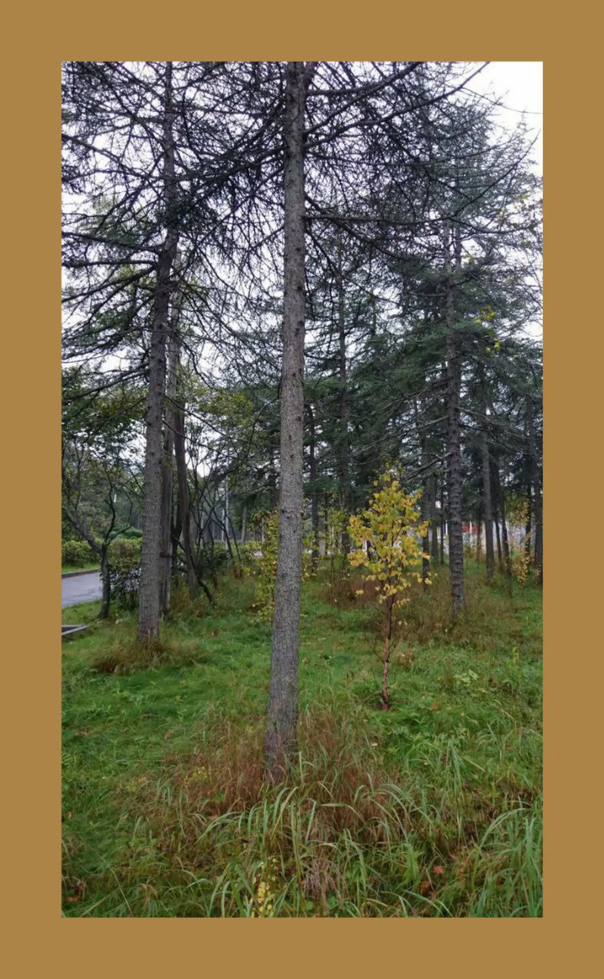 Райский парк / Paradise park | Сетка — социальная сеть от hh.ru