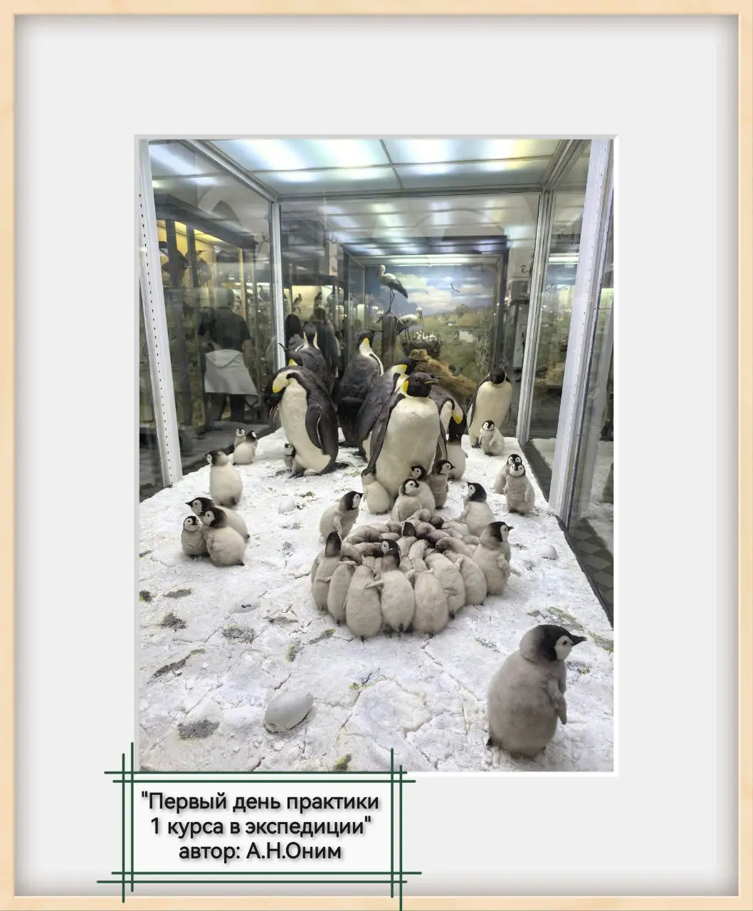 #юмор #юморнараскопе #юморпервокурсники | Сетка — социальная сеть от hh.ru