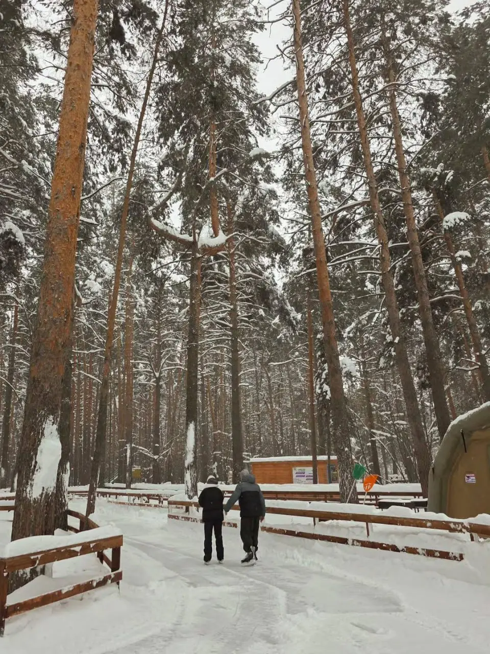 ⛸ Сказочный каток в лесу
Пн-Вс 11:00-22:00
Атмосферный «Прайм каток» в сосновом лесу своего рода аналог петербургского катка в «Охта Парке» | Сетка — социальная сеть от hh.ru