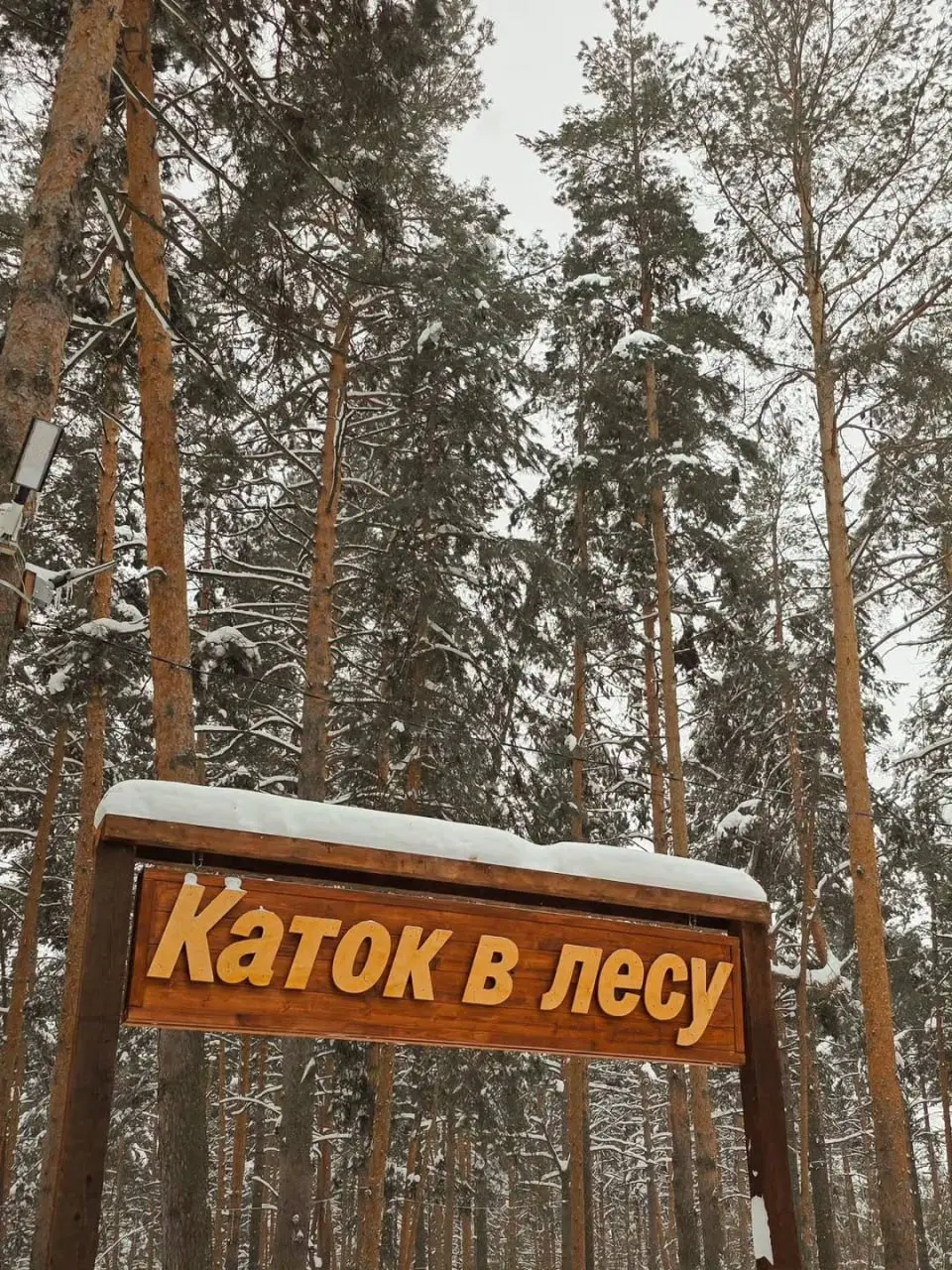 ⛸ Сказочный каток в лесу
Пн-Вс 11:00-22:00
Атмосферный «Прайм каток» в сосновом лесу своего рода аналог петербургского катка в «Охта Парке» | Сетка — социальная сеть от hh.ru
