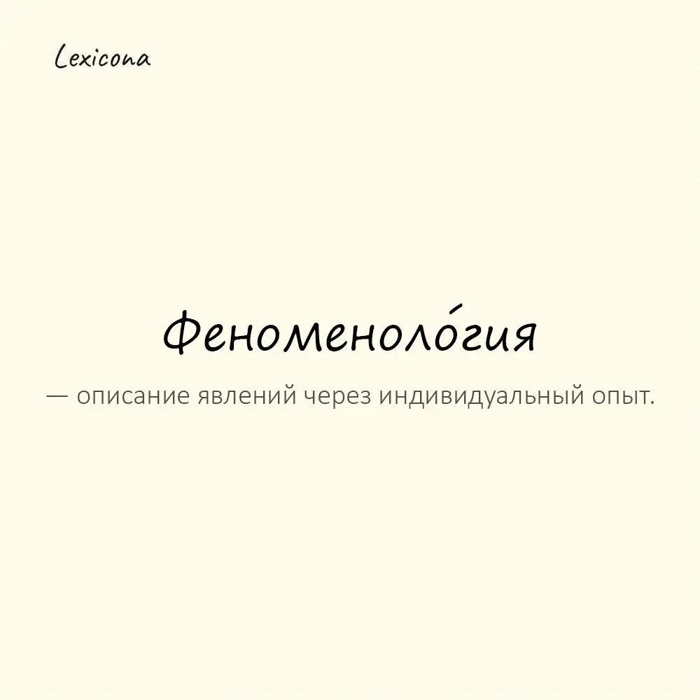 Феноменоло́гия — описание явлений через индивидуальный опыт.
Пример употребления:
Её записи — сплошная феноменология чувств. | Сетка — социальная сеть от hh.ru